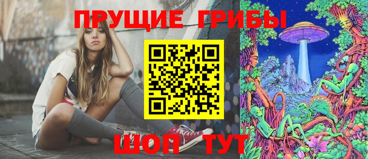 купить наркотик  Вход с VPN  Псилоцибиновые грибы Cubensis  Моздок  Галлюциногенные грибы GOLDEN TEACHER 
